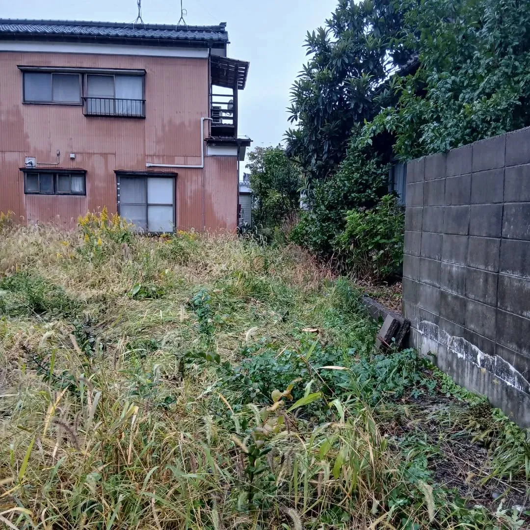 今日は新潟市江南区で、がんばりました!💪松の木と百日紅の伐採...