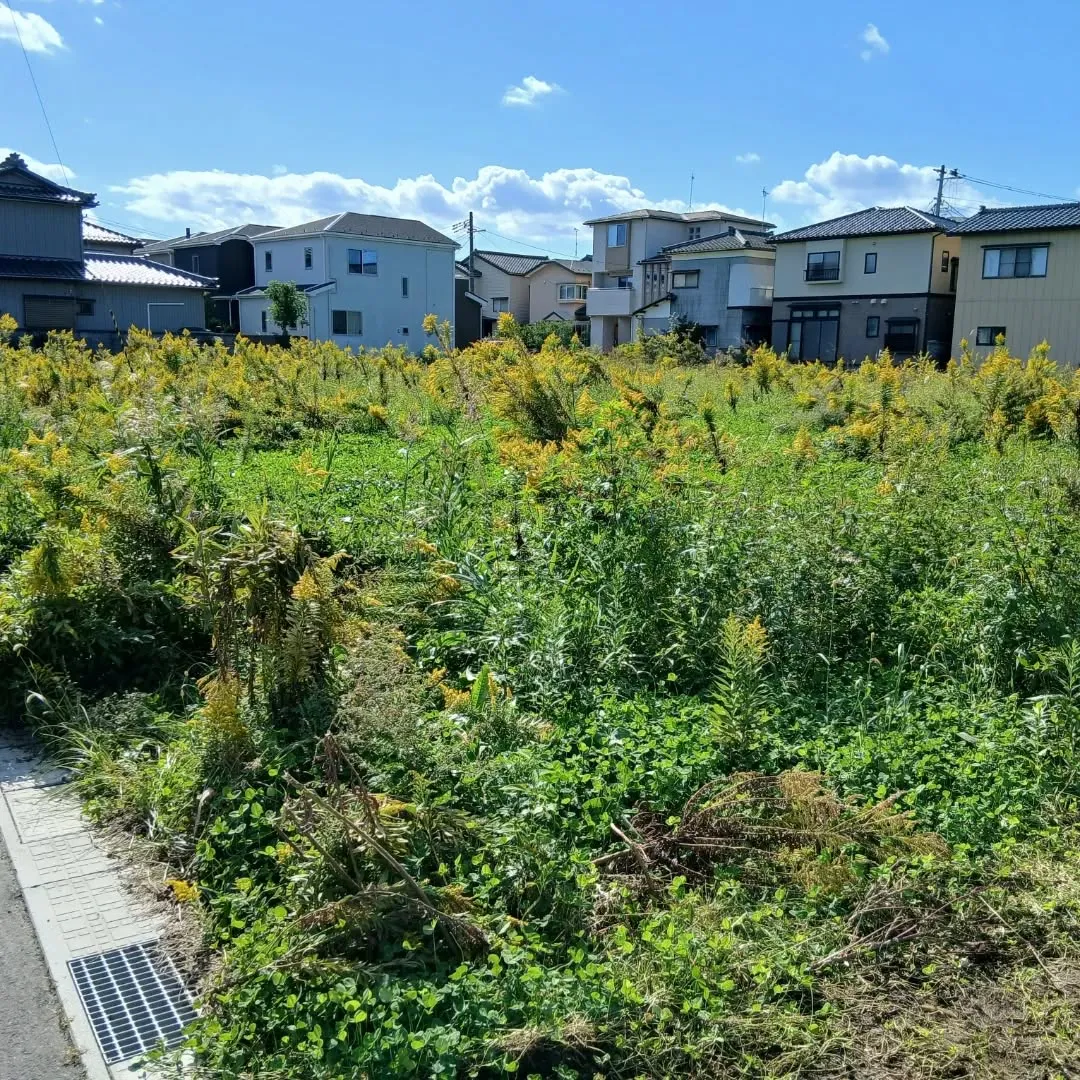 本日、600坪を超える広さの除草作業を無事に完了しました。