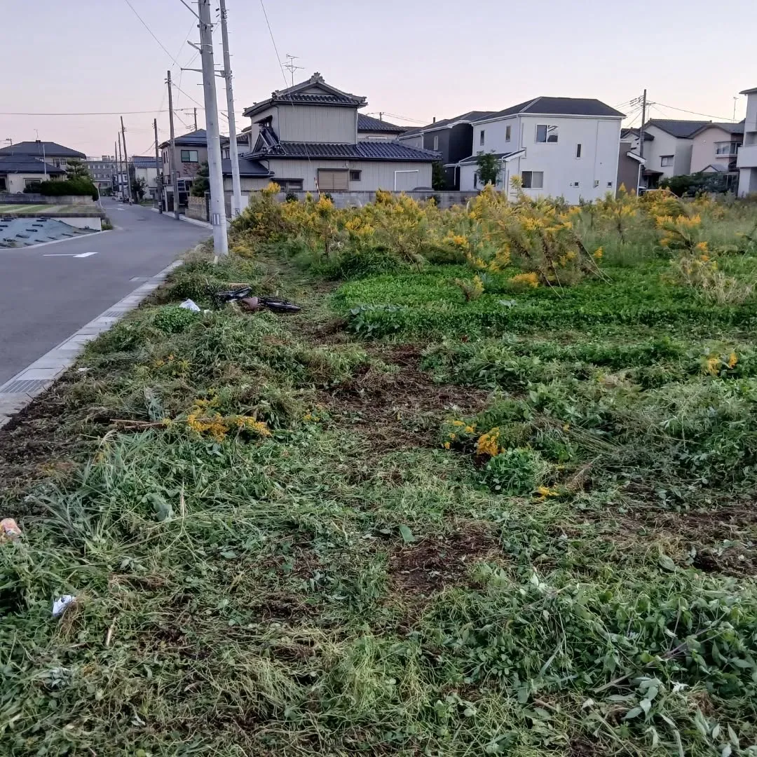 本日、600坪を超える広さの除草作業を無事に完了しました。