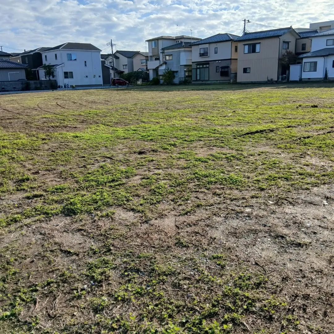 本日、600坪を超える広さの除草作業を無事に完了しました。