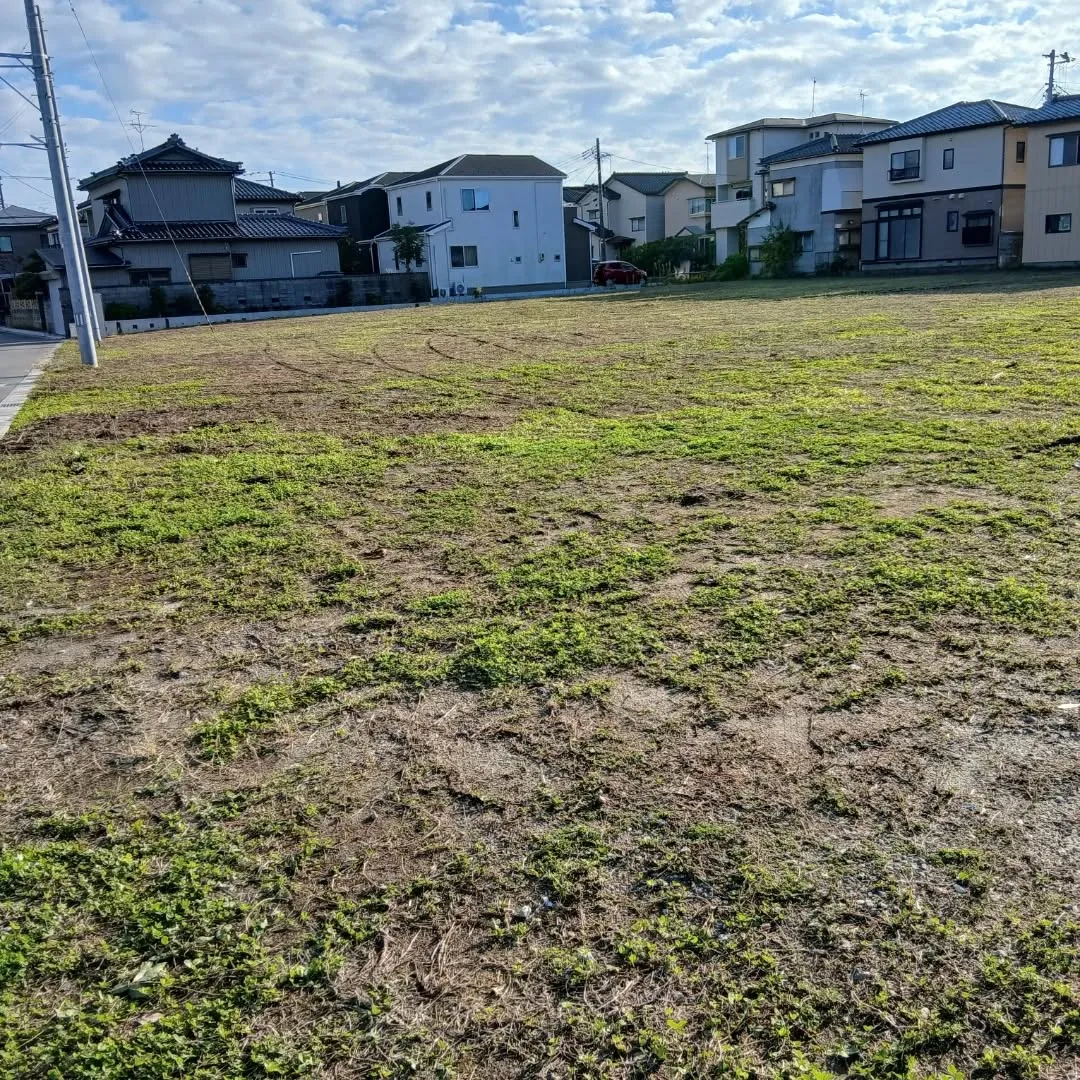 本日、600坪を超える広さの除草作業を無事に完了しました。