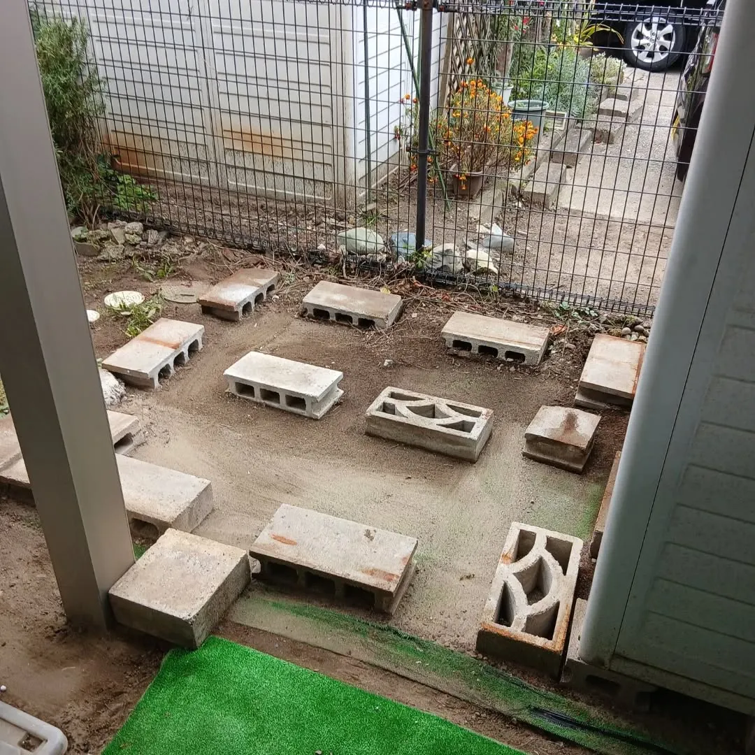 おはようございます🌞！