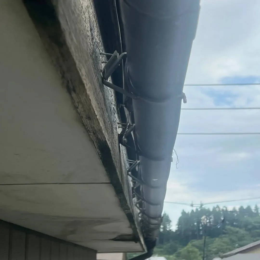 先日、栃尾での軒天張り替えと雨樋補修作業を行いました。