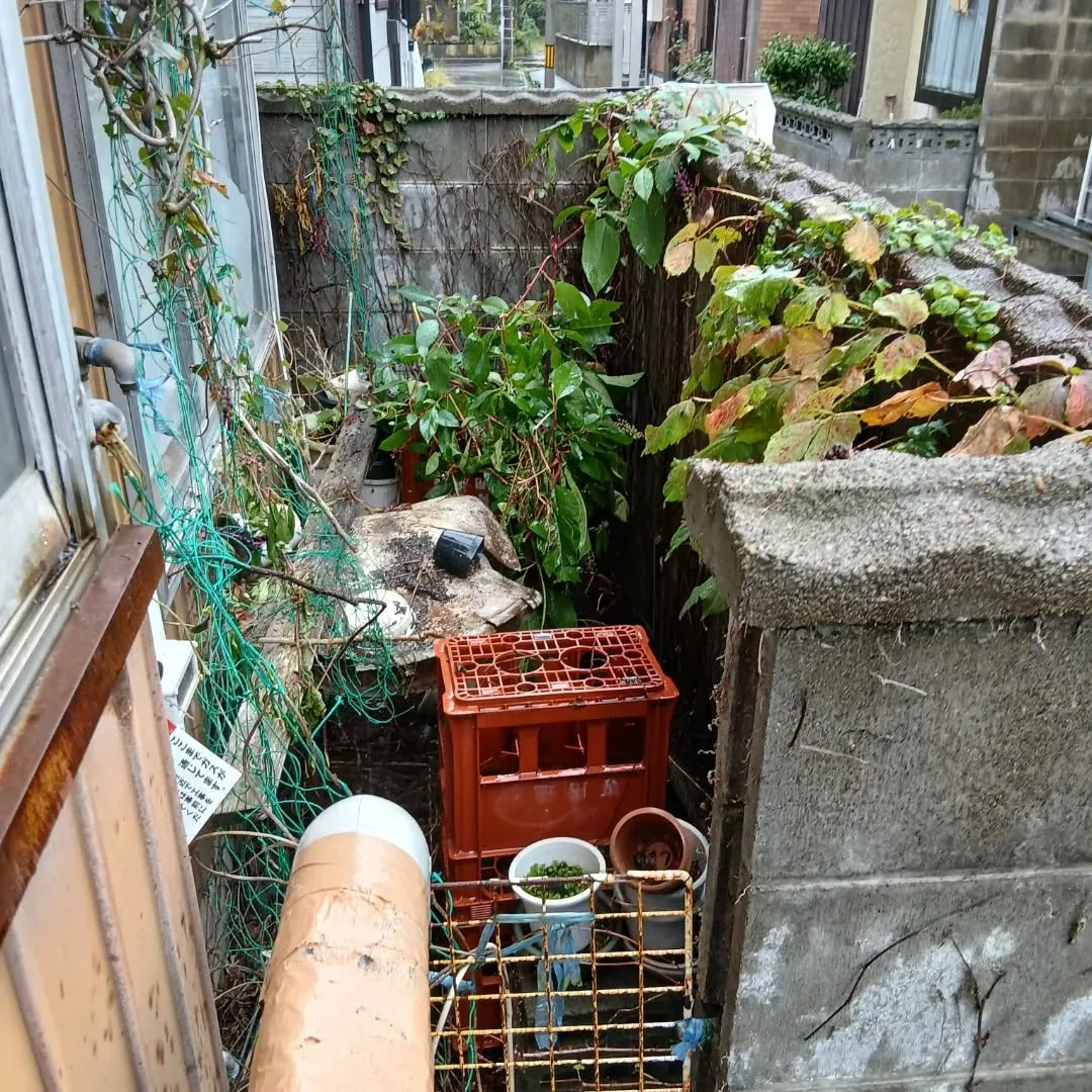 中央区で戸建ての残地物撤去作業でした。