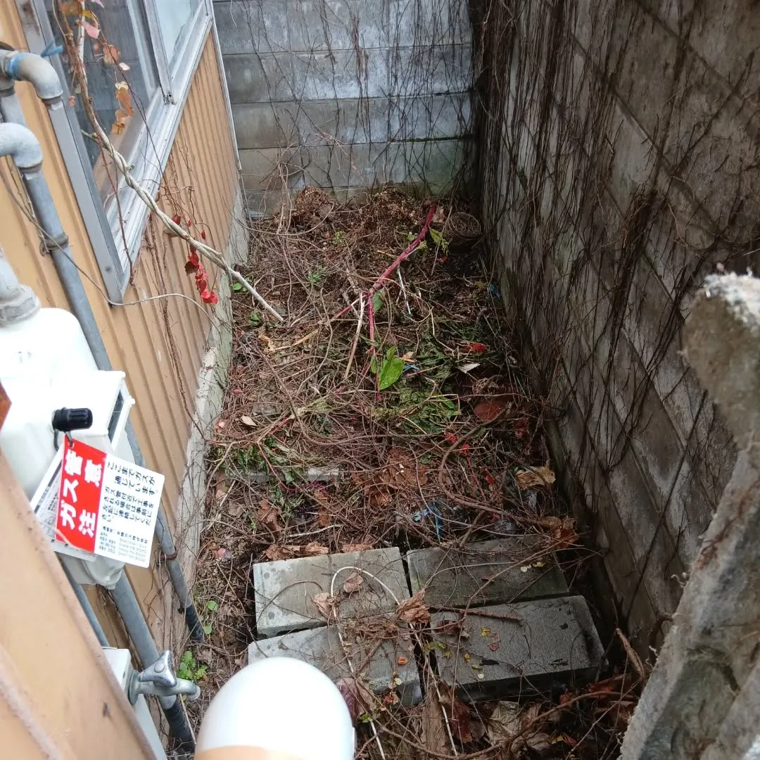 中央区で戸建ての残地物撤去作業でした。