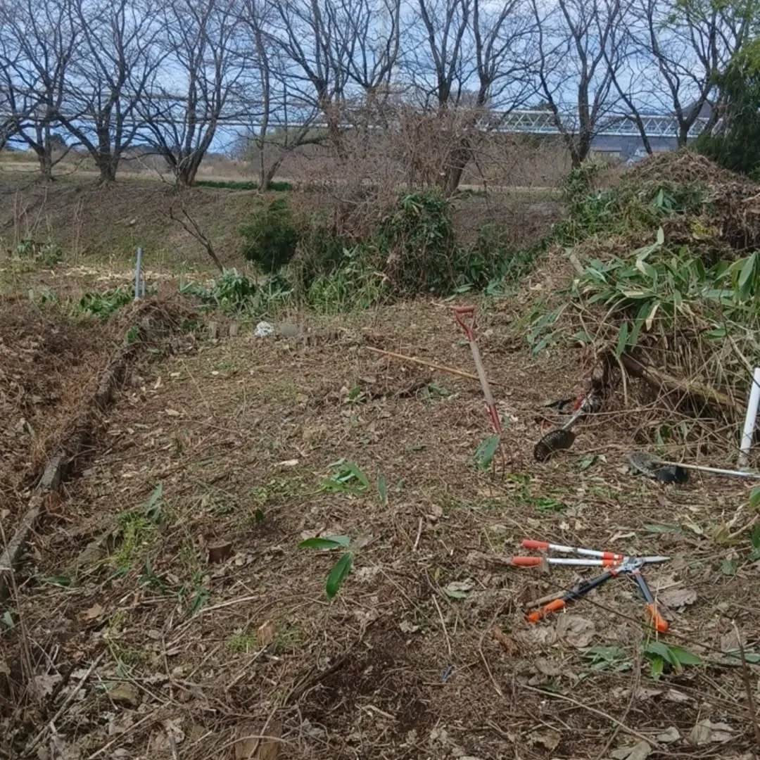 2025年の草刈り納め！！！🌿