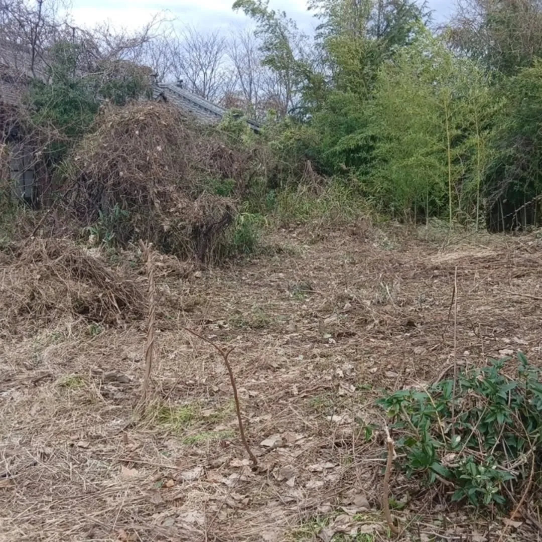 2025年の草刈り納め！！！🌿