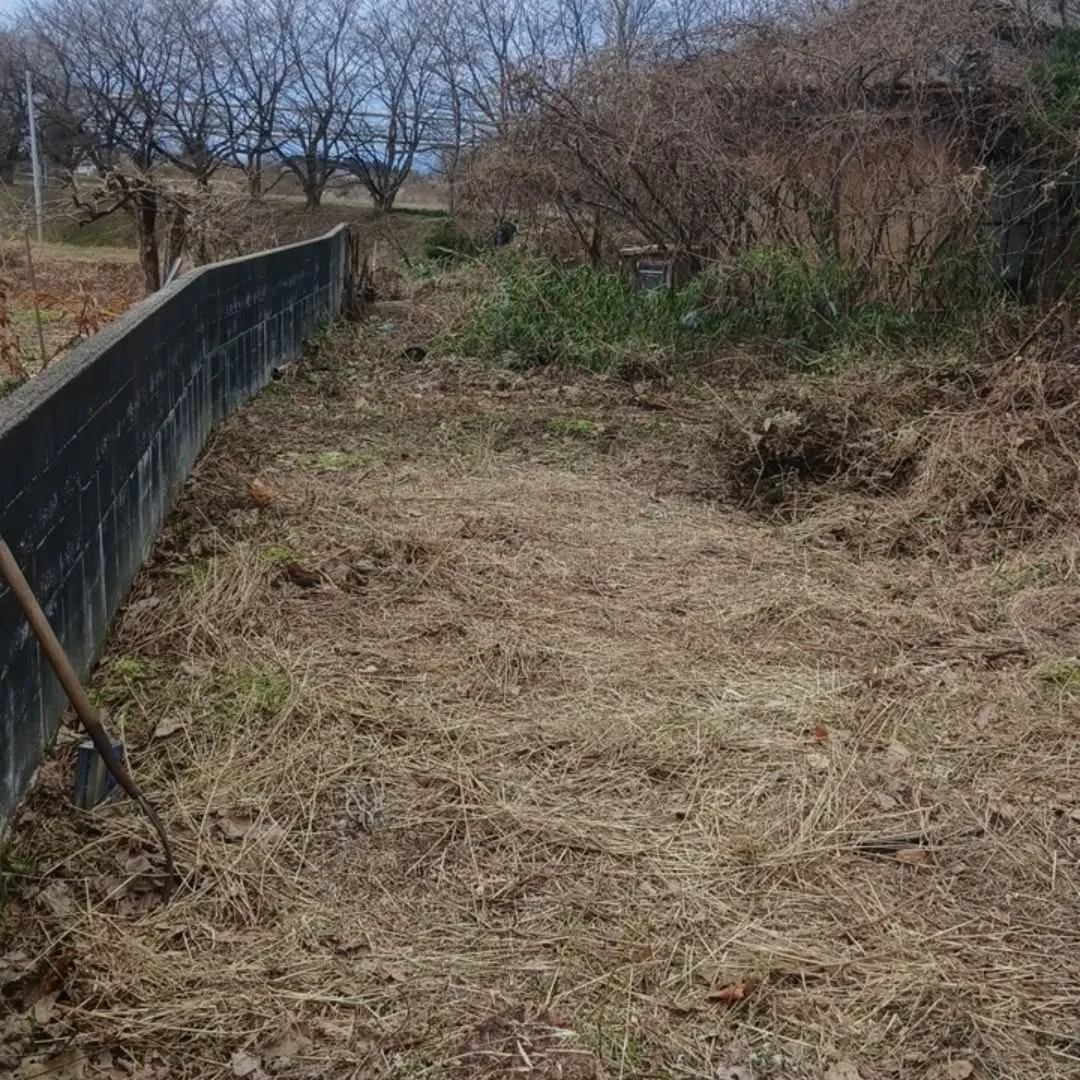 2025年の草刈り納め！！！🌿