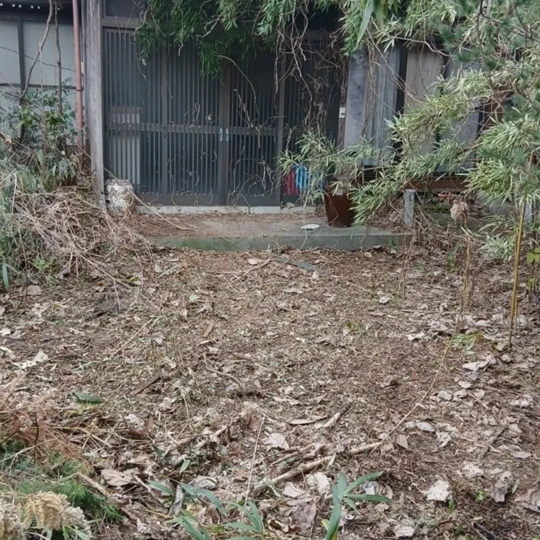 2025年の草刈り納め！！！🌿