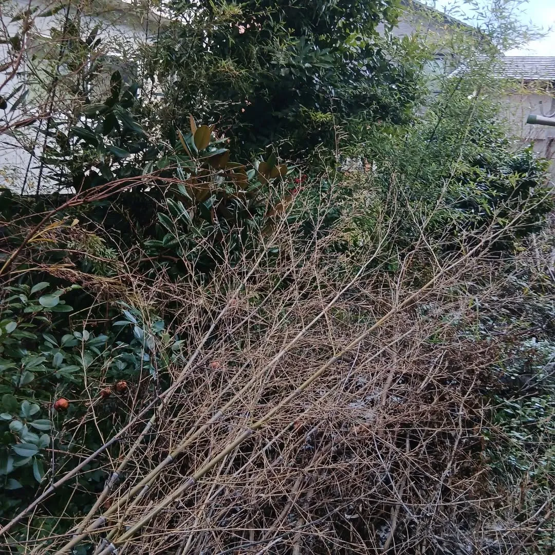 【不用品回収事例】庭木の伐採とエアコン撤去まとめて対応💪