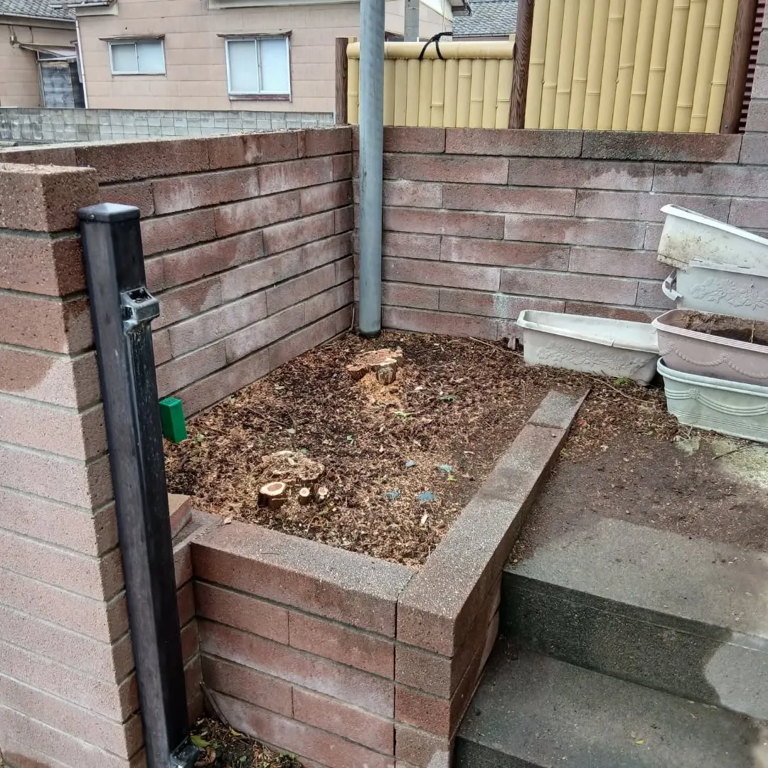 【不用品回収事例】庭木の伐採とエアコン撤去まとめて対応💪