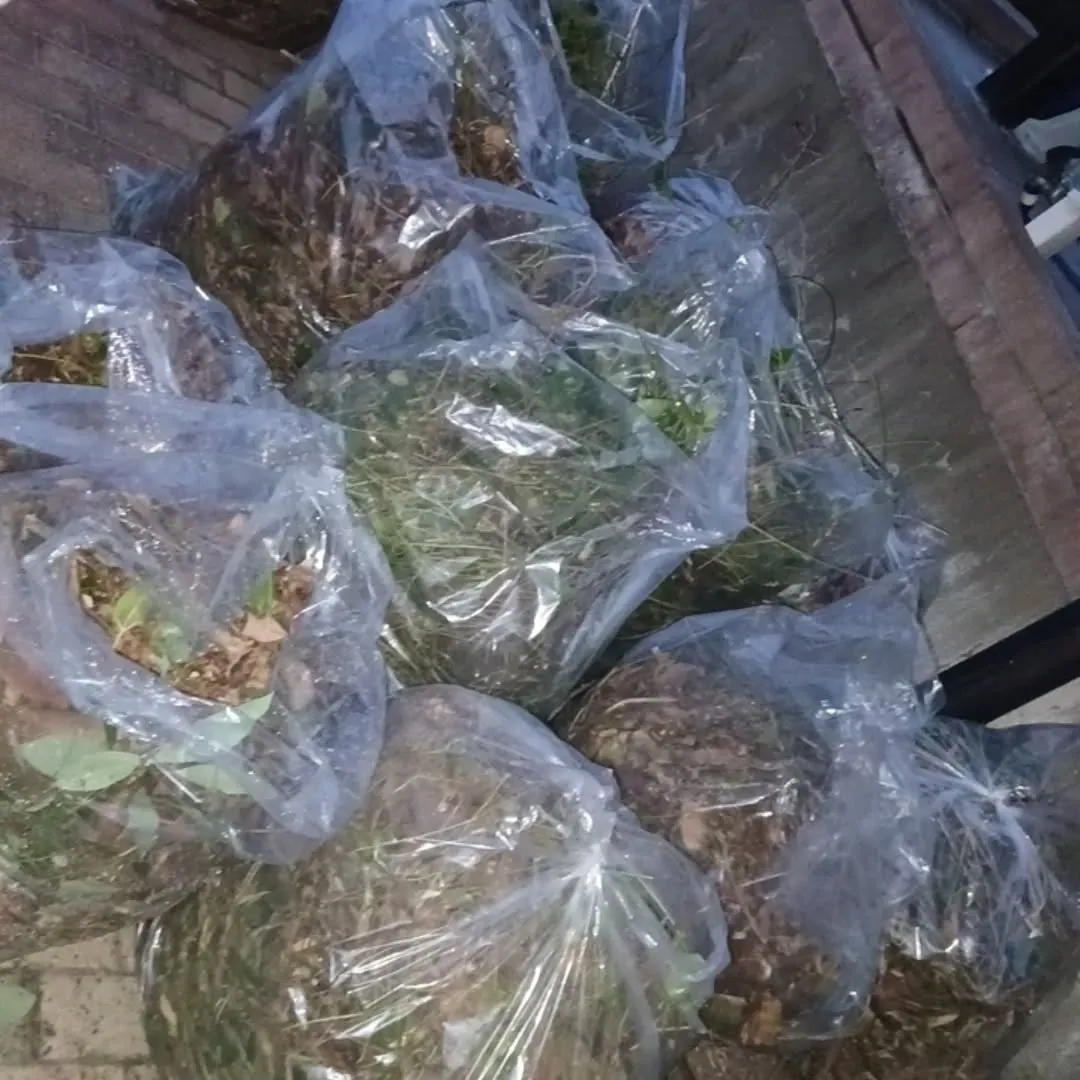 【不用品回収事例】庭木の伐採とエアコン撤去まとめて対応💪