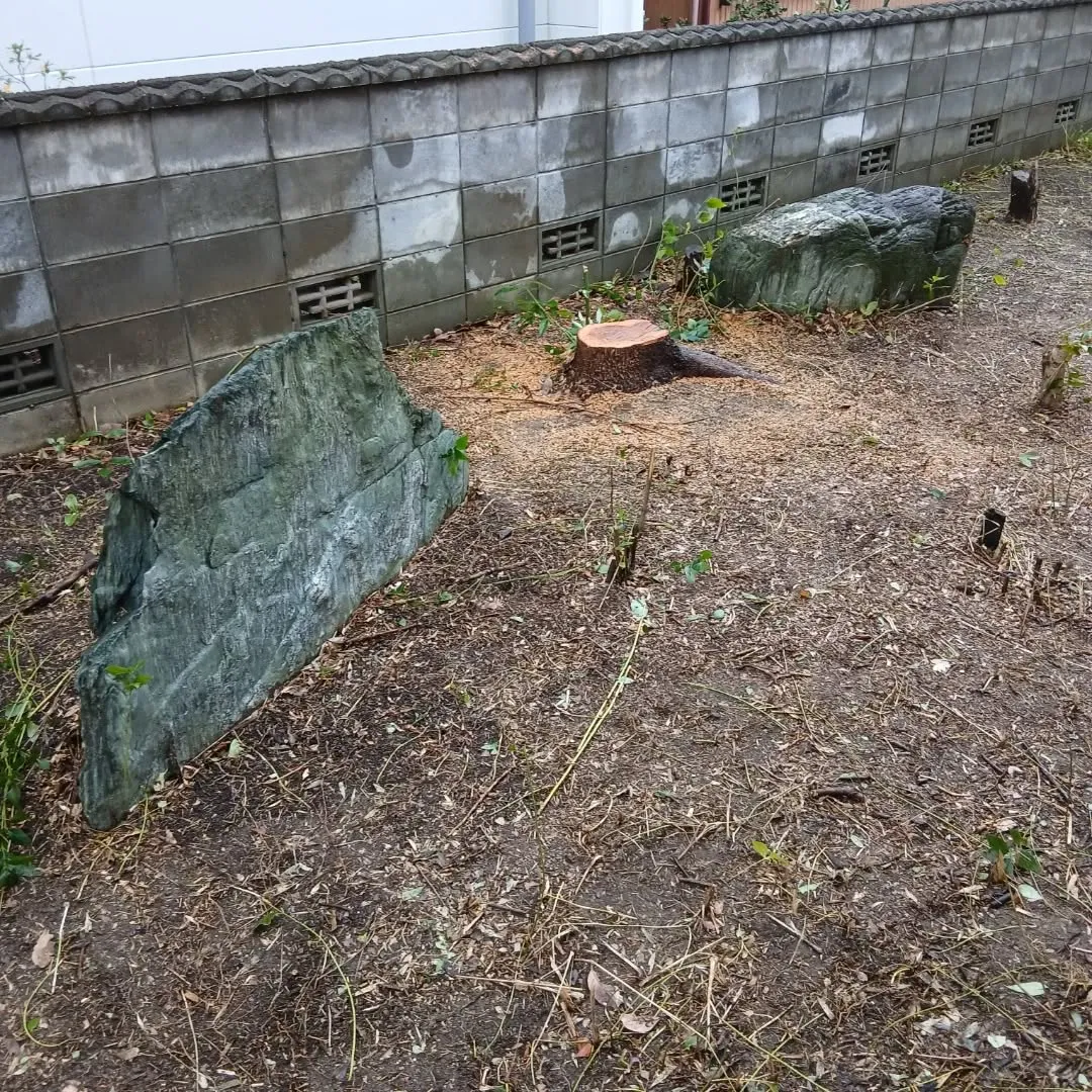 【不用品回収事例】庭木の伐採とエアコン撤去まとめて対応💪