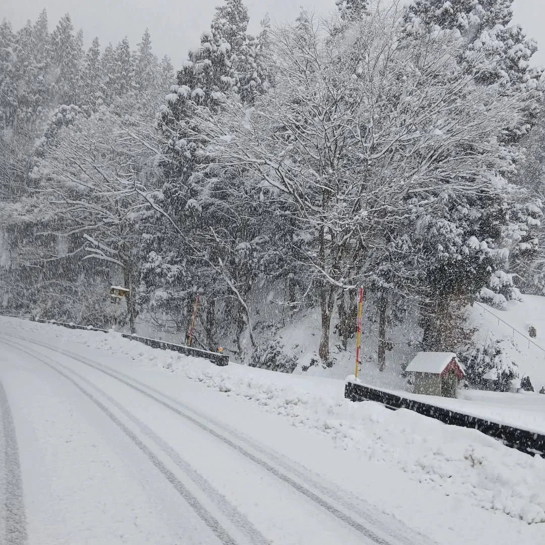 長岡市栃尾で空き家整理┃一軒家の残地物撤去作業事例
