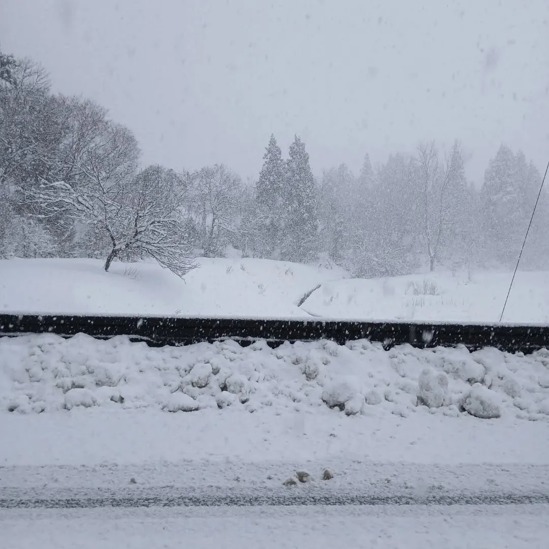 長岡市栃尾で空き家整理┃一軒家の残地物撤去作業事例