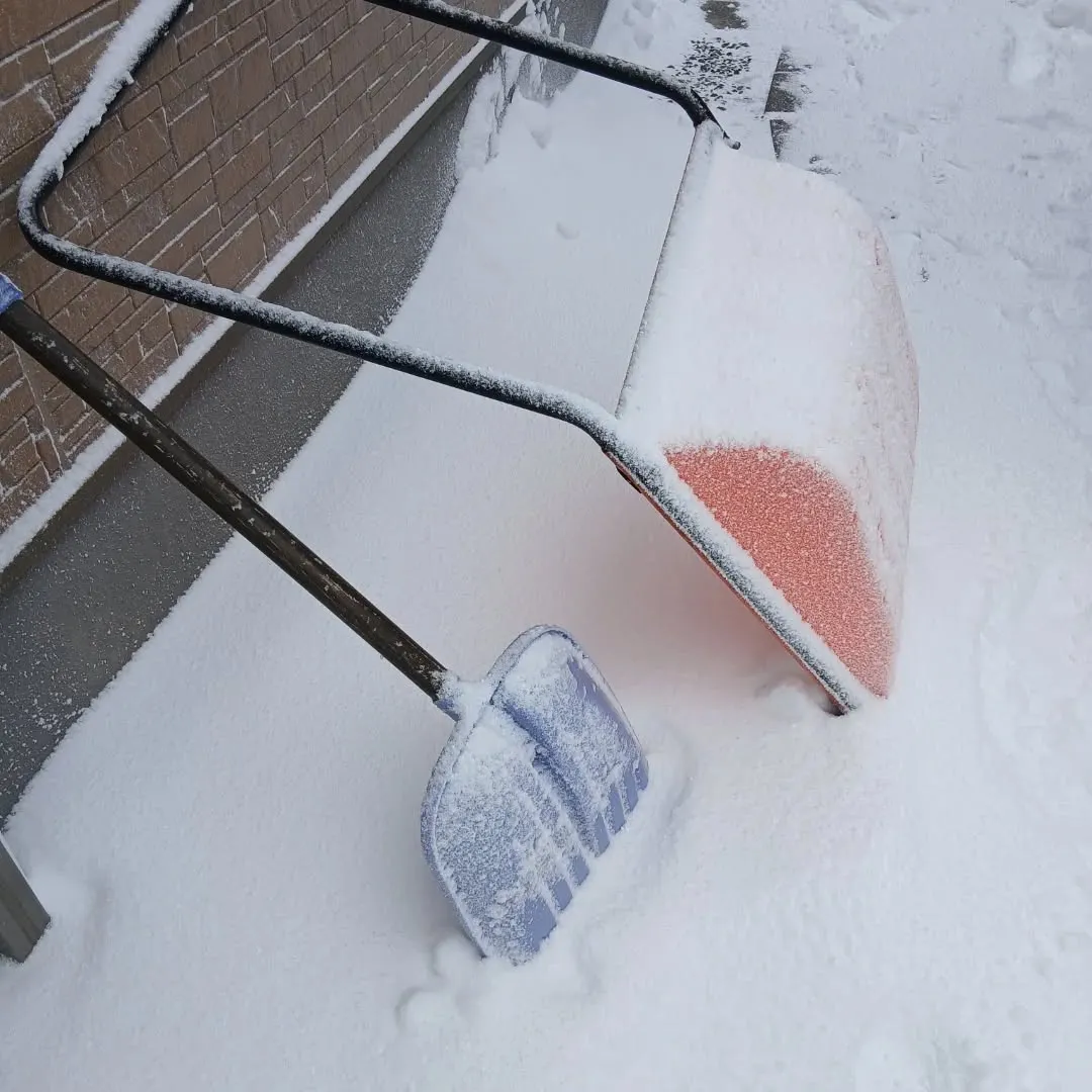 ​【胎内市】軽トラ1台の不用品回収を安く済ませるコツ！少量な...