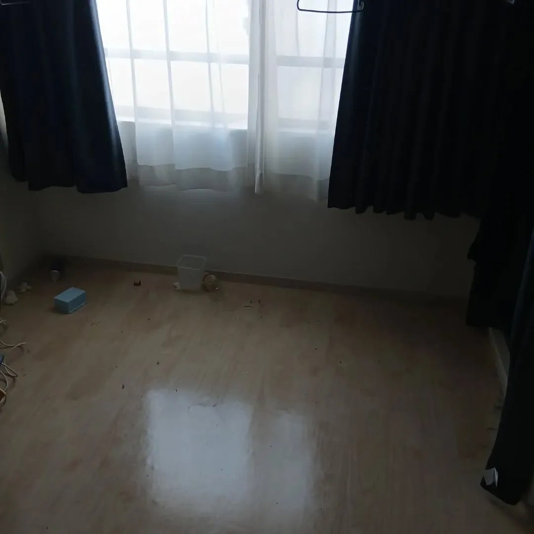 今日・明日でも間に合う!新潟市中央区の引越し不用品回収|急ぎ...