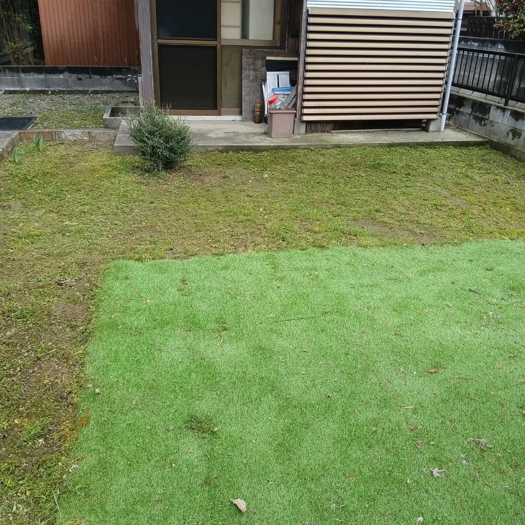 新潟市江南区｜月一回の草取りで綺麗を維持！大切な花を守る除草