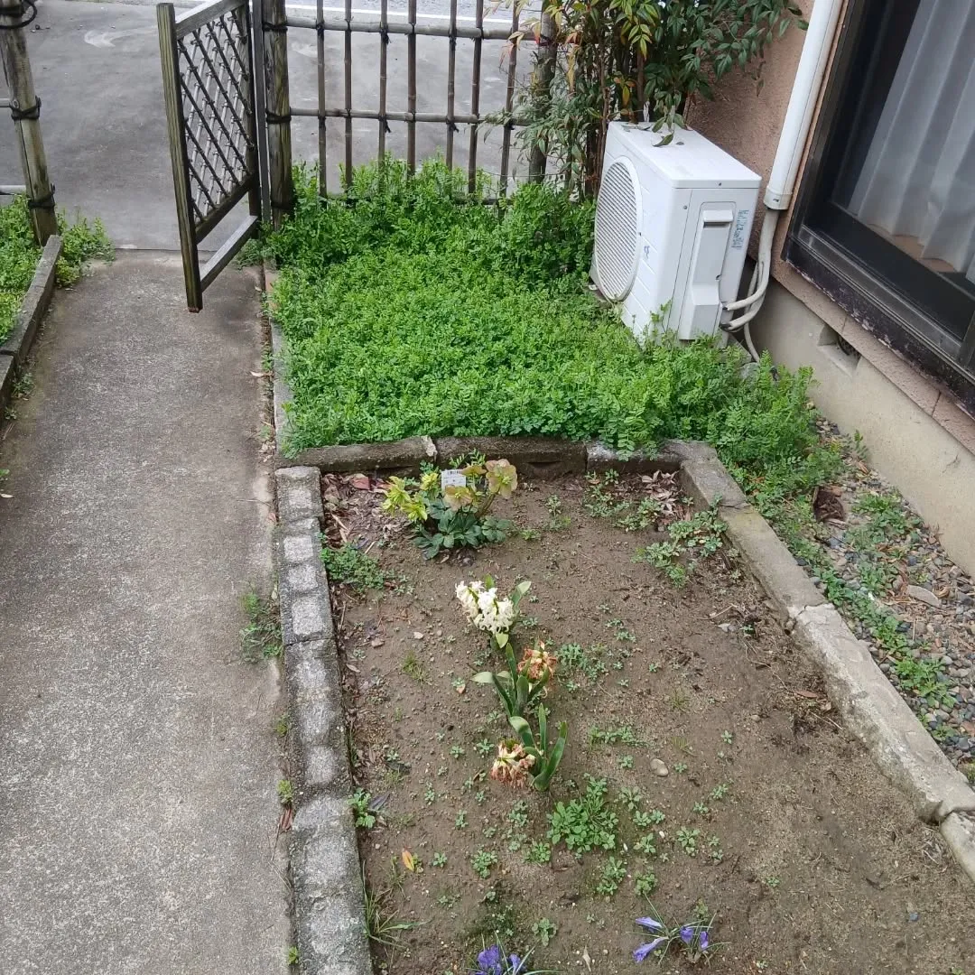 新潟市江南区｜月一回の草取りで綺麗を維持！大切な花を守る除草
