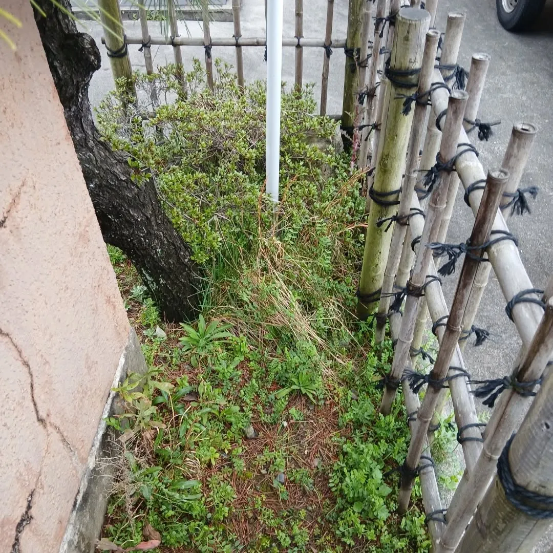 新潟市江南区｜月一回の草取りで綺麗を維持！大切な花を守る除草