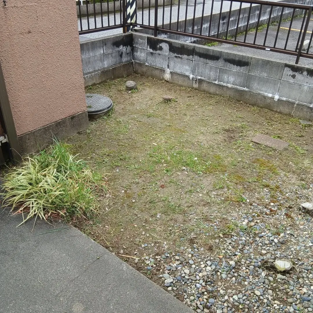 新潟市江南区｜月一回の草取りで綺麗を維持！大切な花を守る除草