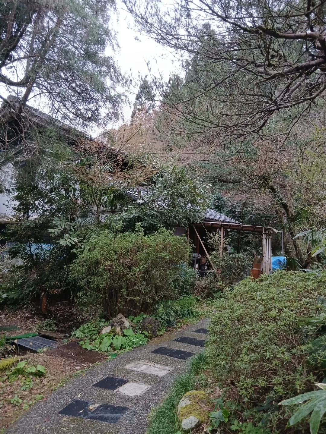 【店舗回収】おもだかや新津店跡地でエアコン・家電・調理器具回...