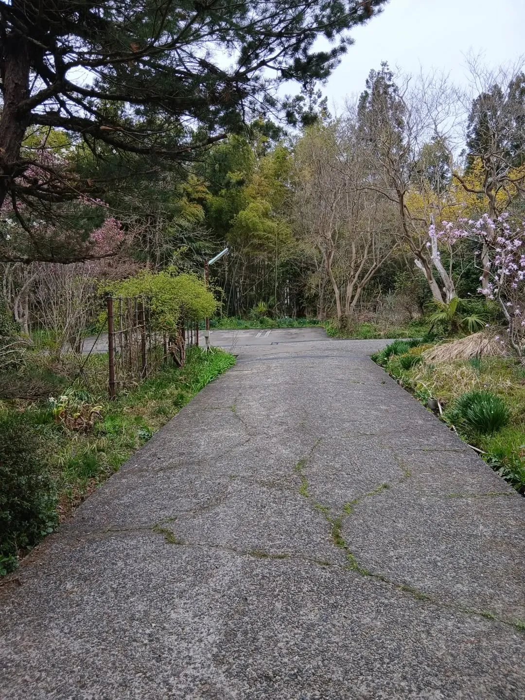 【店舗回収】おもだかや新津店跡地でエアコン・家電・調理器具回...