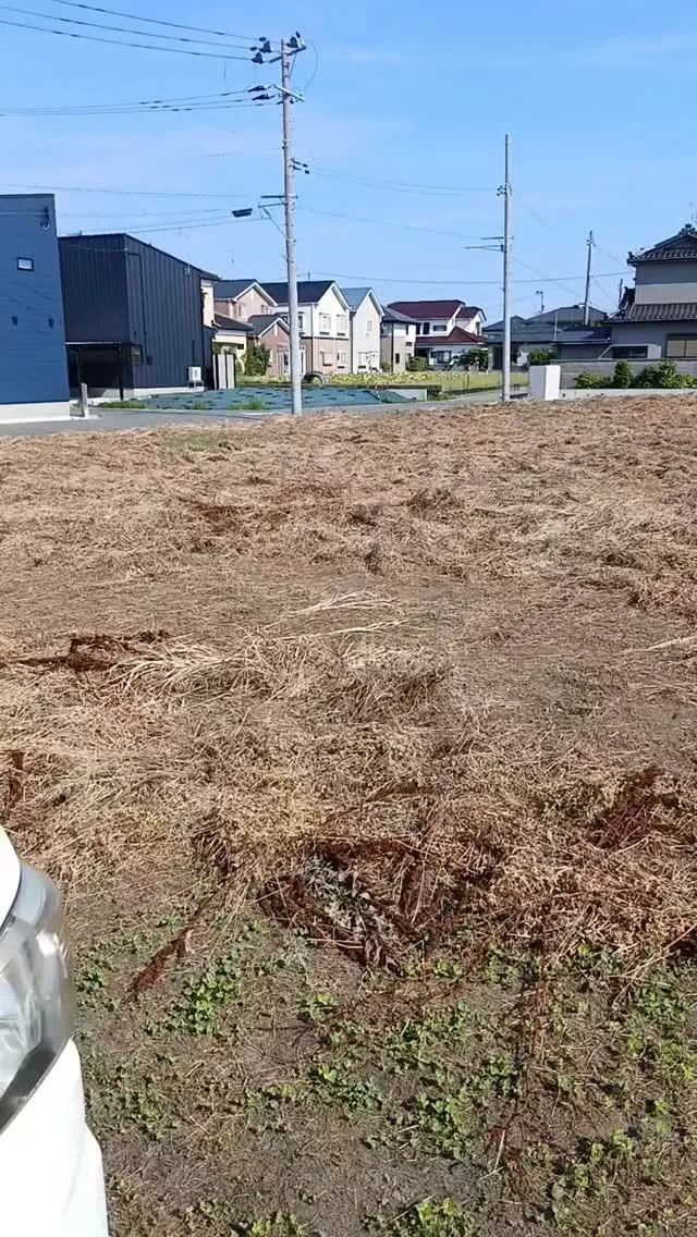 🌿600坪超えの除草作業、残すは処分作業!【新潟市東区 SP...